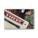 Amplificador Guitarra Electrica Blackstar Debut 15E Vintage Cream