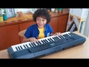 Teclado Organo Yamaha PSR-E273