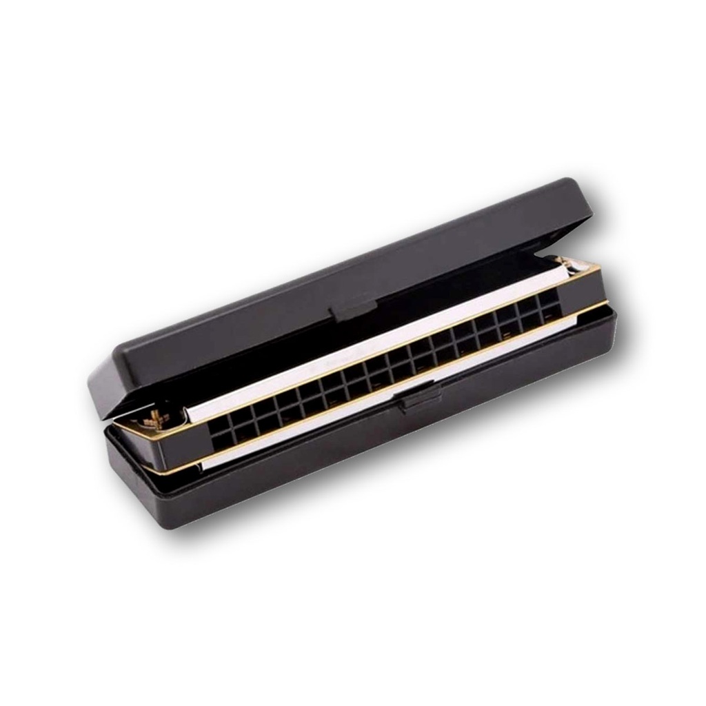 Armonica Stagg 32 Voces