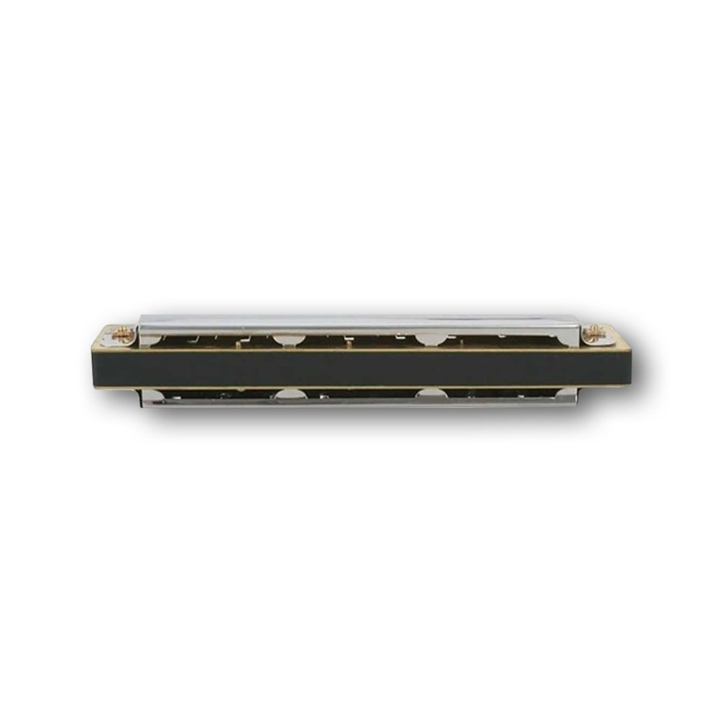 Armonica Stagg 32 Voces