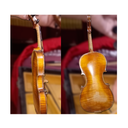 Violin de Concierto Jacobus Estainer (1730)   