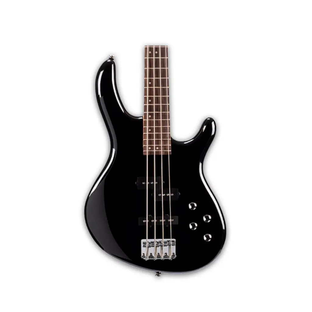action_bass_plus_black(3).webp