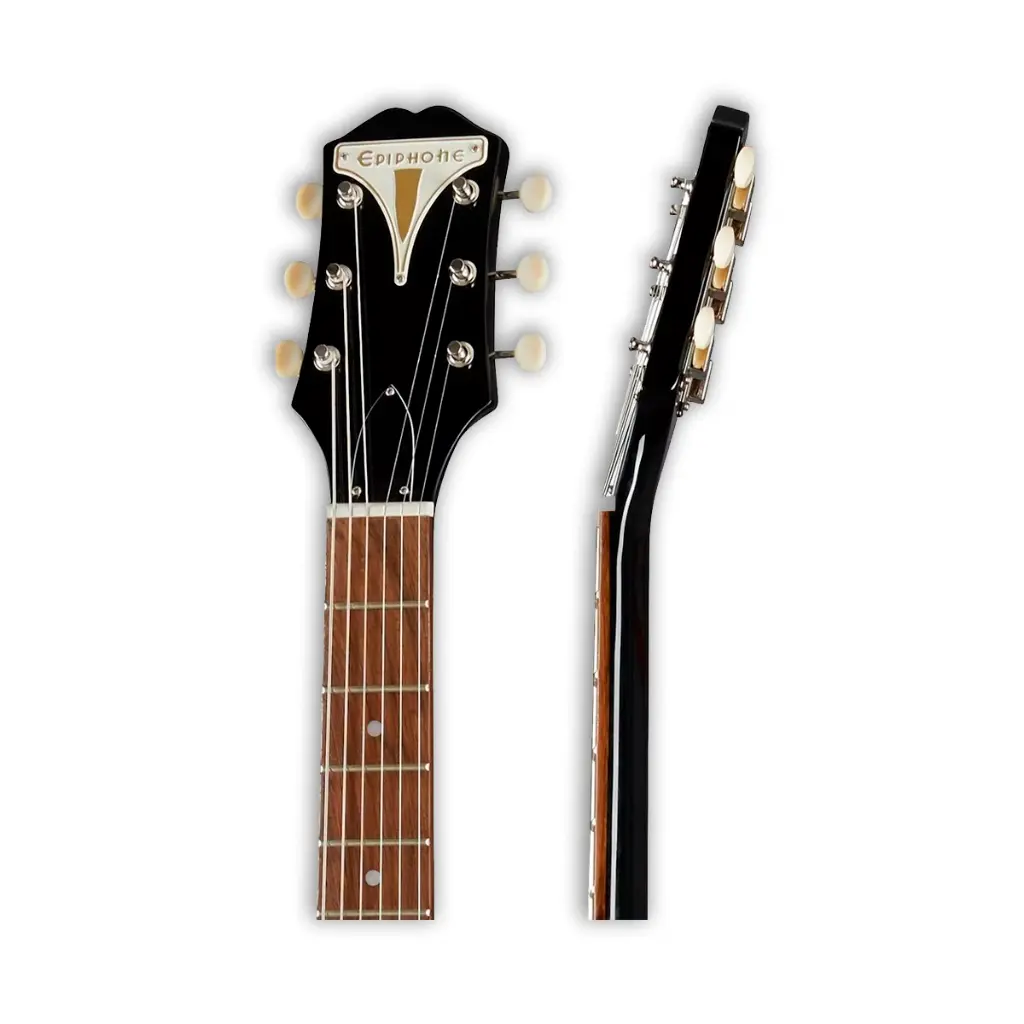 coronet_ebony_(5).webp
