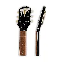 coronet_ebony_(5).webp