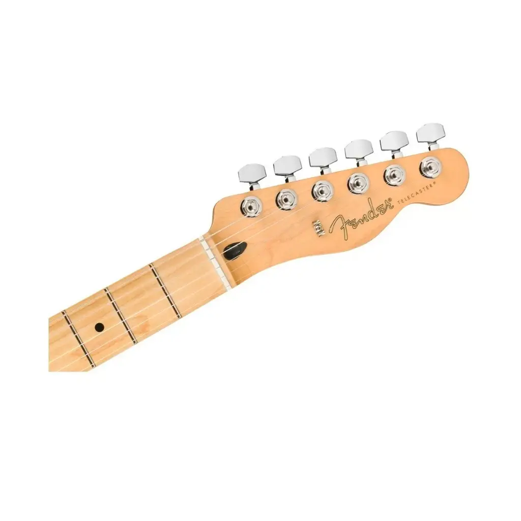 telecaster_player_black (5).webp