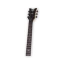 Sgr by Schecter Solo-II 