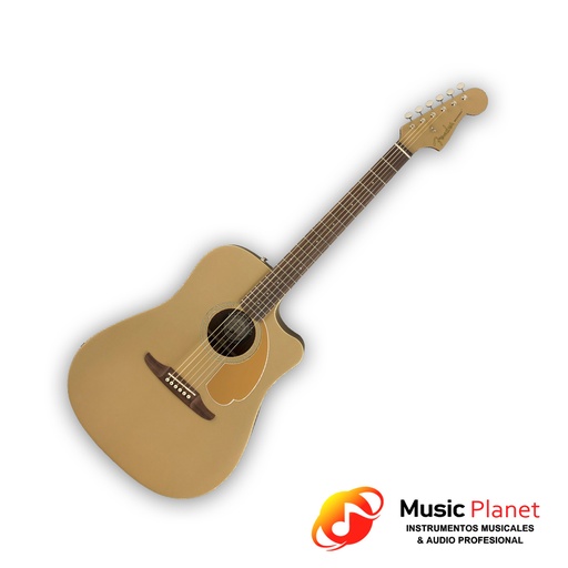 [(8E) F1151342069] Fender Redondo Plyr Bronze Satin WN
