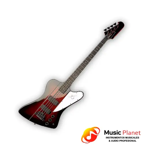 [ODXE-095] Epiphone THUNDERBIRD E1 VS
